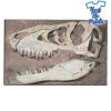 T-rex-Dinosaur-Head-Fossil-3D-Custom-Print-Carpet